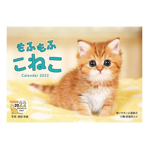 カレンダー　’２２　もふもふこねこ