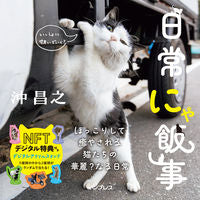 画像をギャラリービューアに読み込む, #沖昌之写真 #日常にゃ飯事
