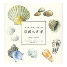 画像をギャラリービューアに読み込む, 子どもと一緒に覚えたい　貝殻の名前
