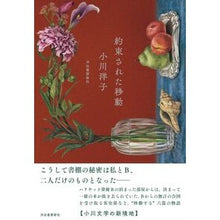 画像をギャラリービューアに読み込む, 約束された移動
