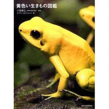 Load image into Gallery viewer, ＃小宮　輝之　監修 ＃黄色い生きもの図鑑 ｺﾐﾔﾃﾙﾕｷ 河出書房新社 : Supervised by Teruyuki Komiya Yellow creature picture book :9784309253282
