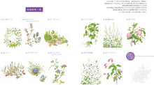 画像をギャラリービューアに読み込む, ＃大人の塗り絵　野の花編 : Adult coloring book wildflower edition : 9784309270029 :9784309270029
