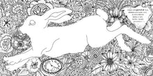 画像をギャラリービューアに読み込む, KAWADE 河出書房新社 塗り絵 ･ 大人の塗り絵ｼﾘｰｽﾞ 物語のある美しい塗り絵 不思議の国のｱﾘｽ ぬりえ ぬり絵 介護 ﾃﾞｨｽﾞﾆｰ 鳥 花 風景 ふるさと  ｽｹｼﾞｭｰﾙ帳 手帳のﾀｲﾑｷｰﾊﾟｰ :9784309276618
