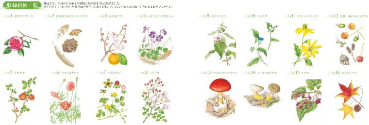 大人の塗り絵ＰＯＳＴ　里山の小さな植物編 --- 河出書房新社 :9784309717784