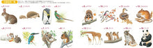 画像をギャラリービューアに読み込む, KAWADE 河出書房新社 塗り絵 ・ 大人の塗り絵 POSTCARD BOOK 動物の王国編 ぬりえ ぬり絵 介護 ディズニー 鳥 花 風景 ふるさと  スケジュール帳 手帳のタイムキーパー :9784309717838
