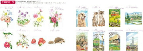 KAWADE 河出書房新社 塗り絵 ・ 大人の塗り絵 色鉛筆BOX ぬりえ ぬり絵 介護 ディズニー 鳥 花 風景 ふるさと  スケジュール帳 手帳のタイムキーパー :9784309717982