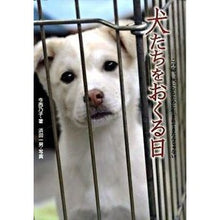画像をギャラリービューアに読み込む, 犬たちをおくる日　この命、灰になるために
