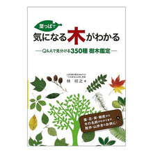画像をギャラリービューアに読み込む, 葉っぱで気になる木がわかる　Ｑ＆Ａで見分
