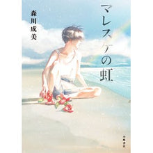 画像をギャラリービューアに読み込む, マレスケの虹
