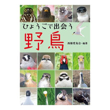 画像をギャラリービューアに読み込む, ひょうごで出会う野鳥
