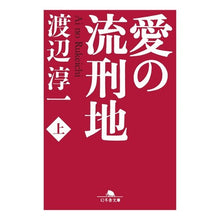 画像をギャラリービューアに読み込む, 愛の流刑地　上 Junichi Watanabe
