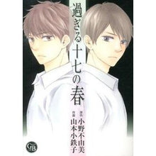 画像をギャラリービューアに読み込む, 過ぎる十七の春
