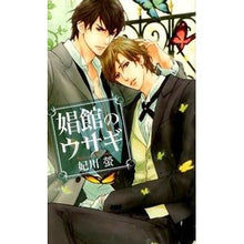 画像をギャラリービューアに読み込む, 娼館のウサギ
