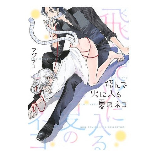 飛んで火に入る夏のネコ