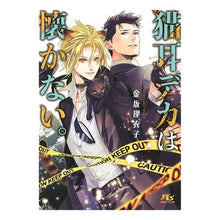 画像をギャラリービューアに読み込む, 猫耳デカは懐かない。
