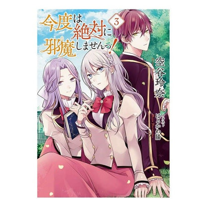 今度は絶対に邪魔しませんっ！　　　３