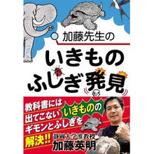 画像をギャラリービューアに読み込む, 長傘ネイビーブルーシャツネイビー Hideaki Kato

