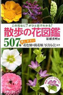 #岩槻秀明 #散歩の花図鑑