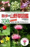 #山田隆彦 #散歩の山野草図鑑