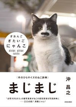 画像をギャラリービューアに読み込む, #沖昌之 #ぎおんごぎたいごにゃんこ
