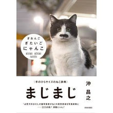 画像をギャラリービューアに読み込む, ぎおんごぎたいごにゃんこ
