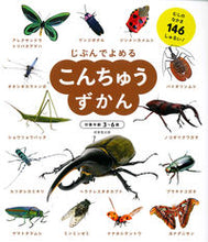 Load image into Gallery viewer, Insect Encyclopedia, Seibido Publishing :9784415328522
