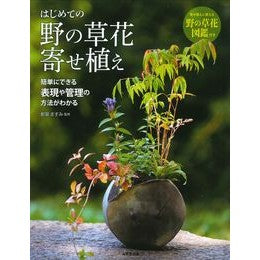 はじめての野の草花寄せ植え