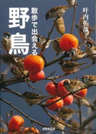 #叶内拓哉 #散歩で出会える野鳥