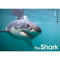 画像をギャラリービューアに読み込む, ＴｈｅＳｈａｒｋ　サメたちの海へ
