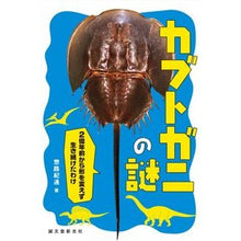 Load image into Gallery viewer, カブトガニの謎　２億年前から形を変えず生
