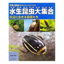 画像をギャラリービューアに読み込む, 水生昆虫大集合　水辺に生きる昆虫たち
