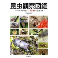 昆虫観察図鑑