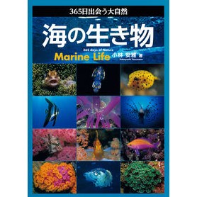 ３６５日出会う大自然　海の生き物