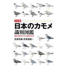 画像をギャラリービューアに読み込む, 決定版　日本のカモメ識別図鑑
