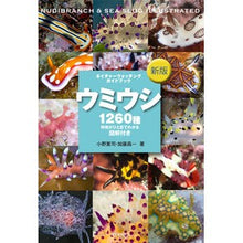 画像をギャラリービューアに読み込む, ウミウシ　新版
