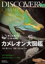 画像をギャラリービューアに読み込む, #上原陽子 #カメレオン大図鑑 :9784416521663
