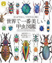 画像をギャラリービューアに読み込む, #海野和男 #世界で一番美しい甲虫図鑑
