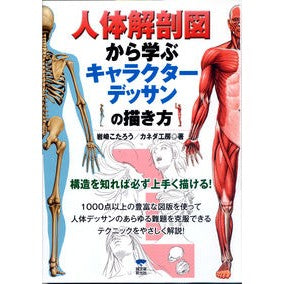 人体解剖図から学ぶキャラクターデッサンの