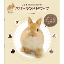画像をギャラリービューアに読み込む, ネザーランドドワーフ
