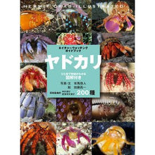 画像をギャラリービューアに読み込む, ヤドカリ
