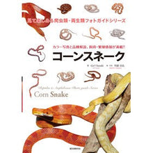 画像をギャラリービューアに読み込む, コーンスネーク
