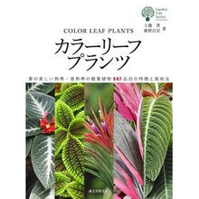 画像をギャラリービューアに読み込む, カラーリーフプランツ

