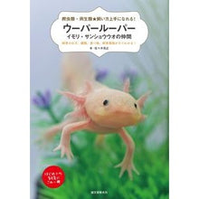 画像をギャラリービューアに読み込む, ウーパールーパー・イモリ・サンショウウオ
