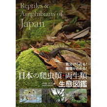 画像をギャラリービューアに読み込む, 日本の爬虫類・両生類生態図鑑
