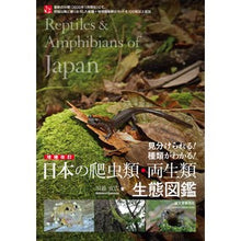 Load image into Gallery viewer, 日本の爬虫類・両生類生態図鑑　増補改訂

