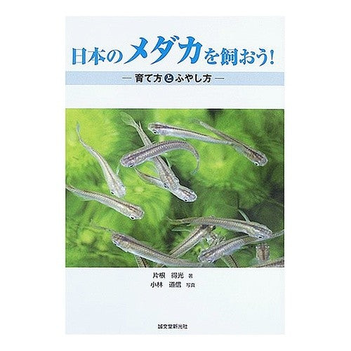 日本のメダカを飼おう！－育て方とふやし方