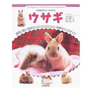 ウサギ