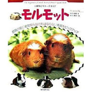 モルモット