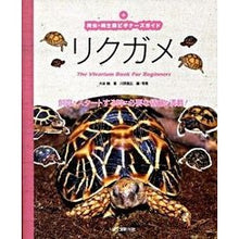 画像をギャラリービューアに読み込む, リクガメ
