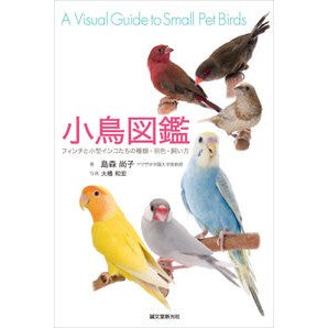 小鳥図鑑　フィンチと小型インコたちの種類